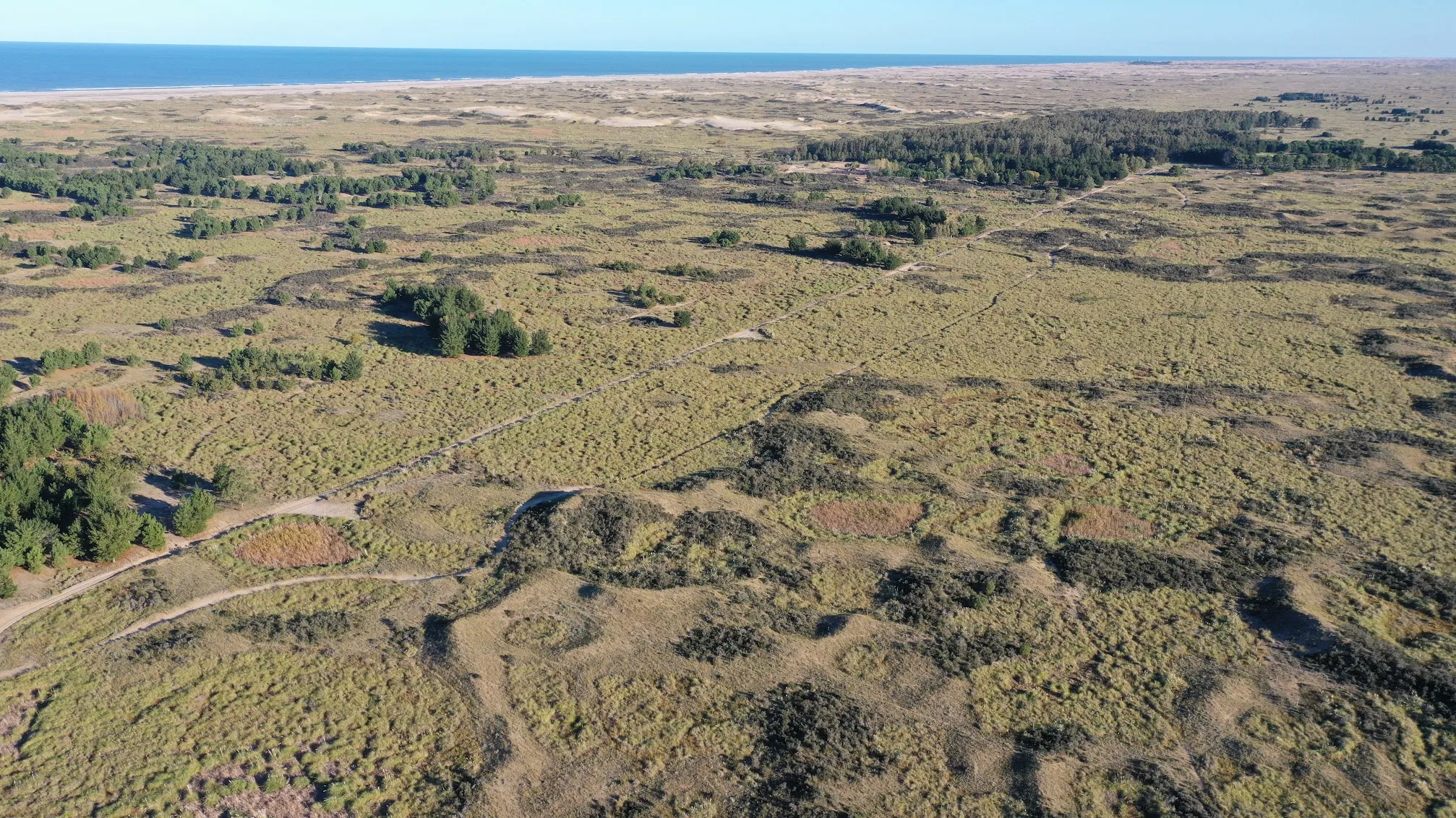 Aerial view towards the ocean