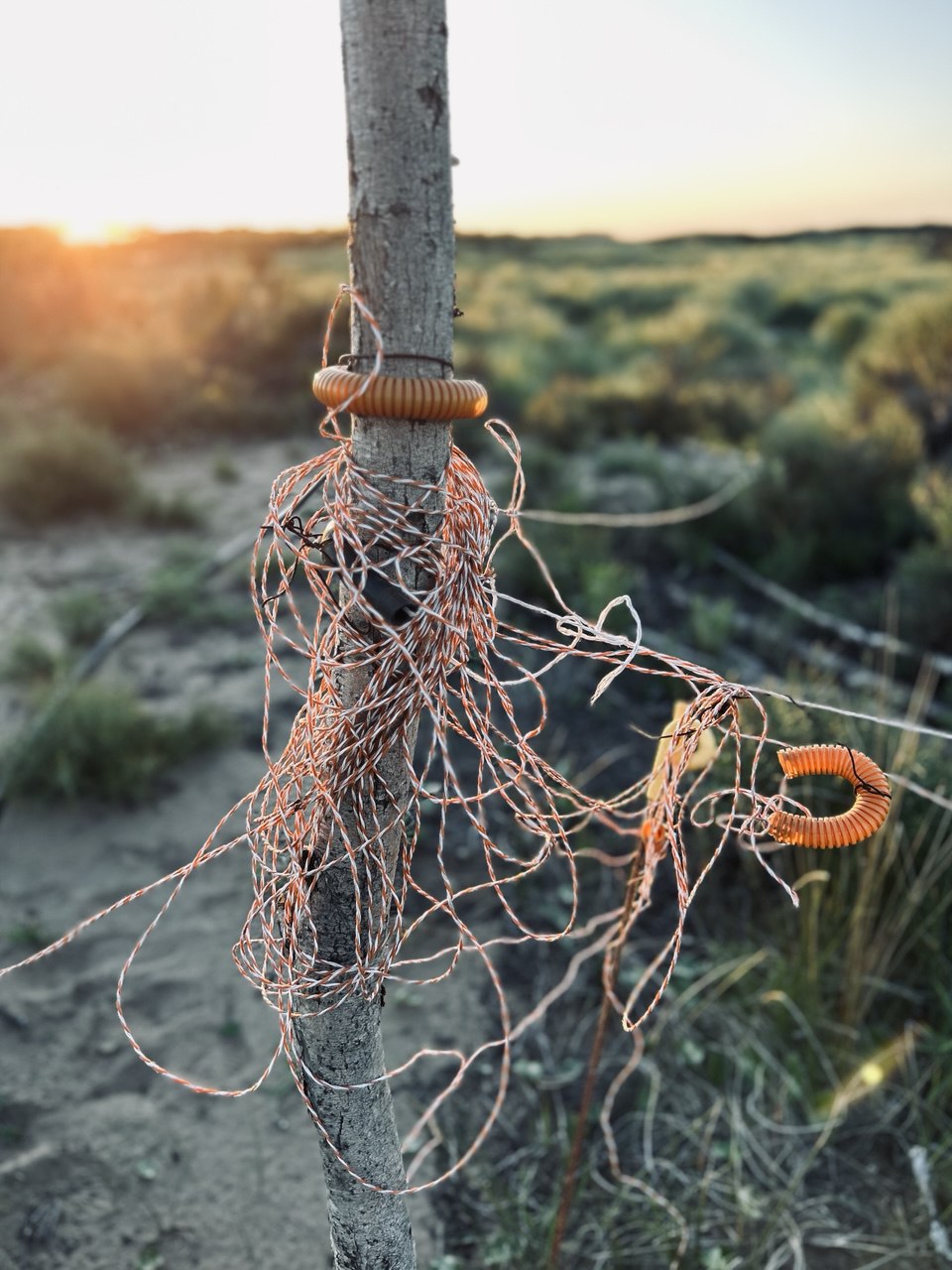 Natural boundaries